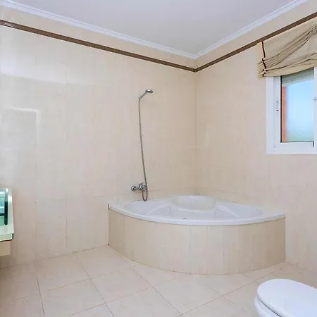 Ch Calida Monteazul *